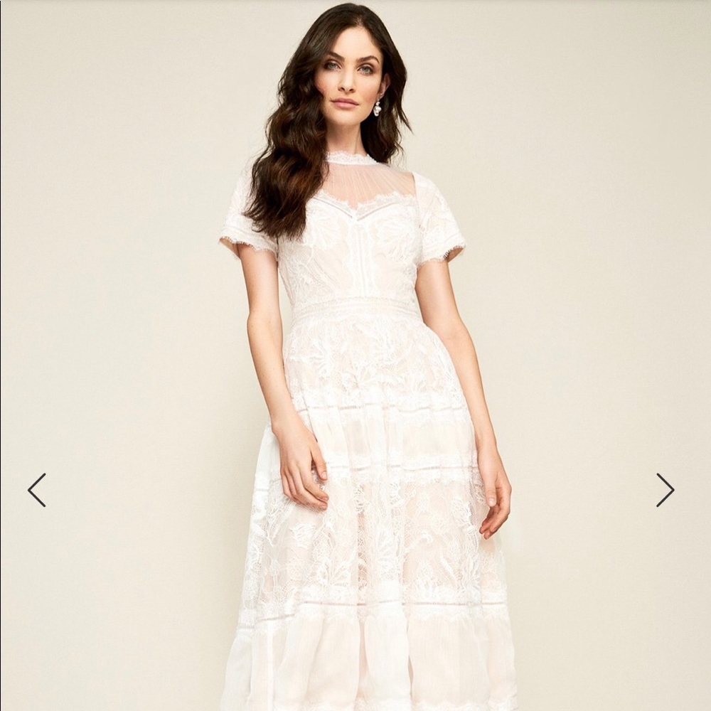 Tadashi Shoji Camilla tea length dress